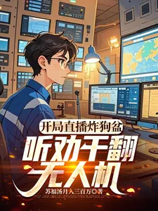 《开局直播炸狗盆，听劝干翻无人机》小说封面