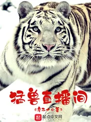 《猛兽直播间》小说封面