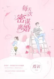 《每天一次密谋离婚》小说封面