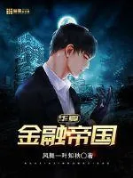 《华夏金融帝国》小说封面
