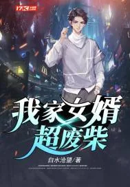 《我家女婿超废柴》小说封面
