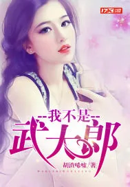 《我不是武大郎》小说封面