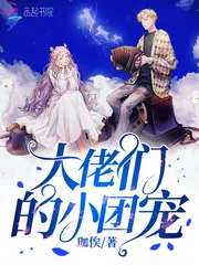 《大佬们的小团宠》小说封面
