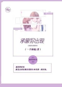 《承蒙你出现》小说封面