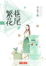 《繁花巷尾》小说封面