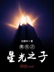 《重生之星光之子》小说封面