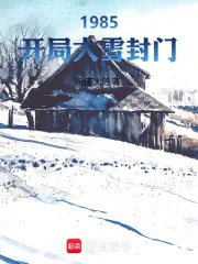 《1985:开局大雪封门》小说封面