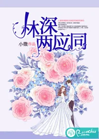 《林深两应同》小说封面