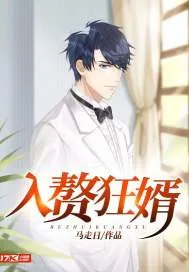 《入赘狂婿》小说封面