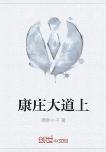 《康庄大道上》小说封面