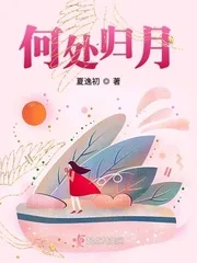 《何处归月》小说封面
