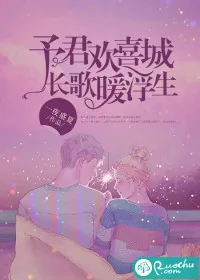 《予君欢喜城,长歌暖浮生》小说封面