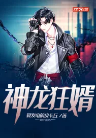 《神龙狂婿》小说封面