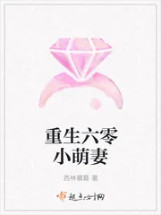 《重生六零小萌妻》小说封面