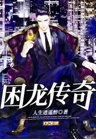 《困龙传奇》小说封面