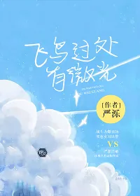 《飞鸟过处有微光》小说封面