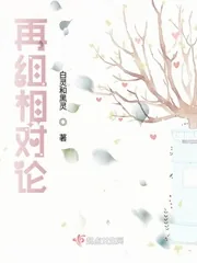 《再组相对论》小说封面