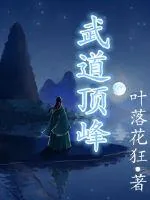 《武道顶峰》小说封面