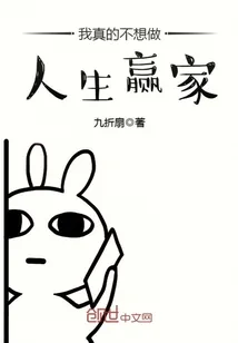 《我真的不想做人生赢家》小说封面