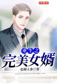 《重生之完美女婿》小说封面