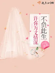《许你万丈情深不负此生》小说封面