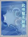 《火影之惊涛骇浪》小说封面