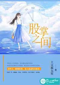 《股掌之间》小说封面