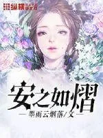 《安之如熠》小说封面