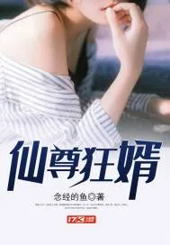 《仙尊狂婿》小说封面