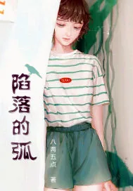 《陷落的弧》小说封面