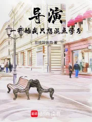 《导演：从混学分开始到影坛传奇》小说封面