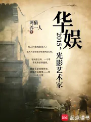 《华娱2015,光影艺术家》小说封面