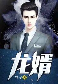 《龙婿(完本)》小说封面